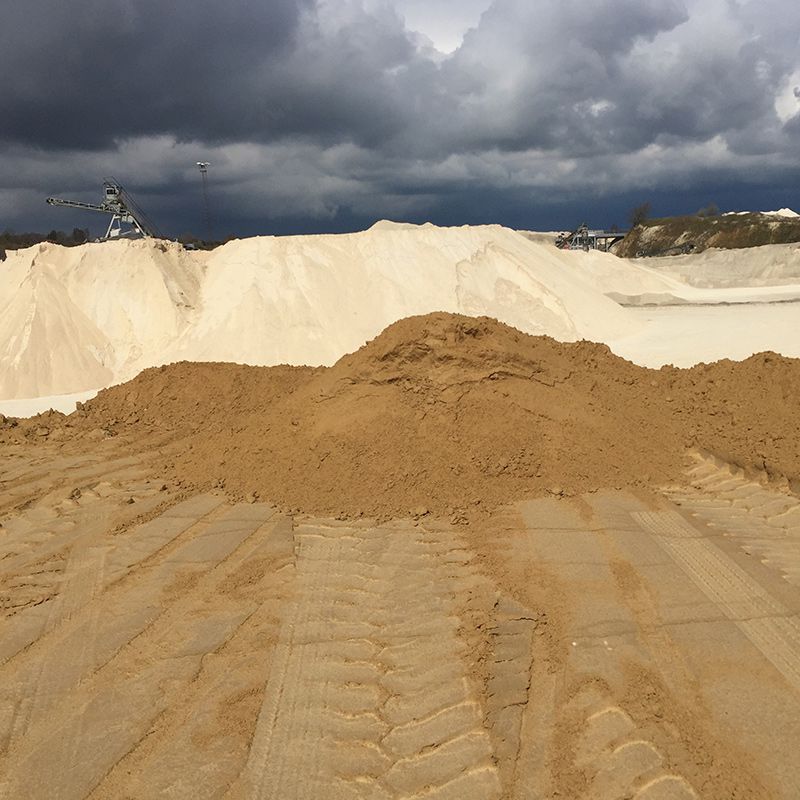 Odoo • Text and Image